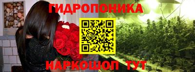 дурь Ярославль