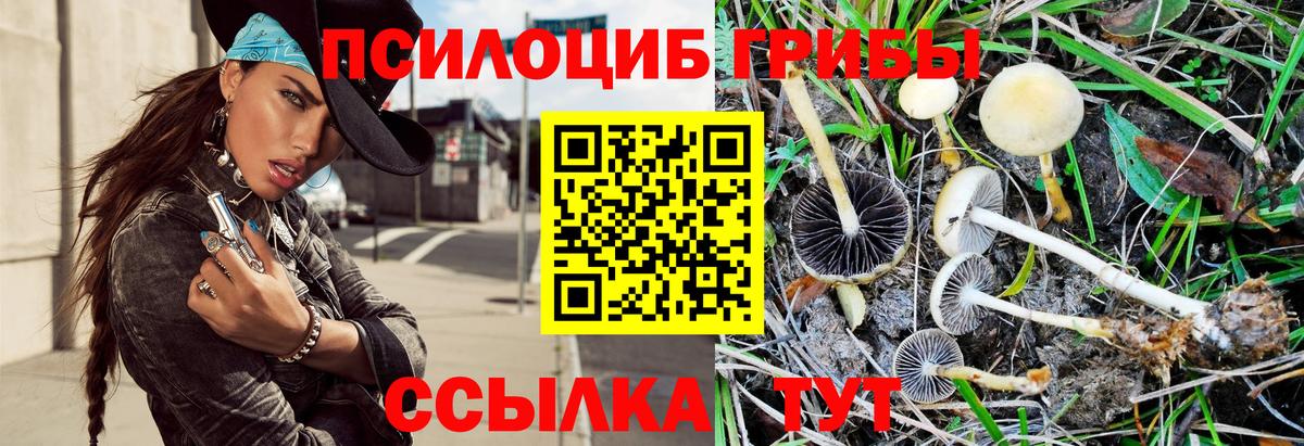 Псилоцибиновые грибы GOLDEN TEACHER  Вход с VPN  Магадан 